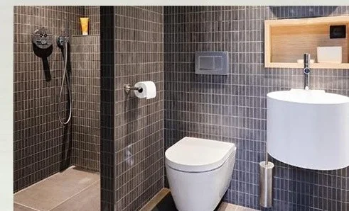 AIIA Pod, tiny house de 28 m² : salle d'eau, rendu 3D